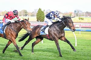 CONSISTENT CHIEF EARNS SPOILS